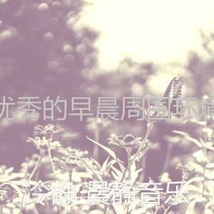 优美缓解压力器乐