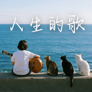 北方沒有你的信（重編曲）