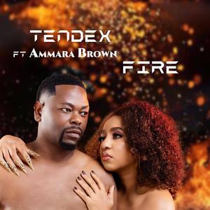 Fire (feat. Ammara Brown)