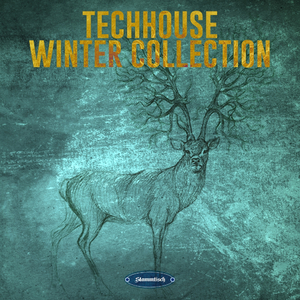 Paragraphs (Original Mix)