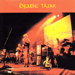 Hajduböszörményi utcarész