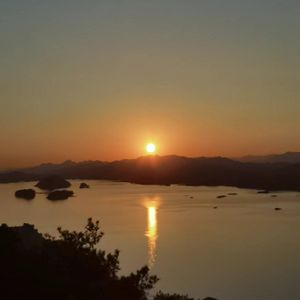 董小姐