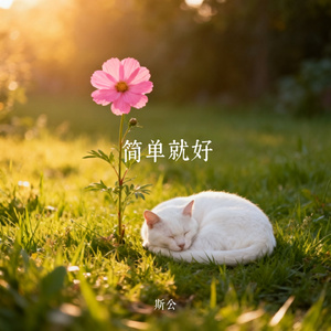 简单就好