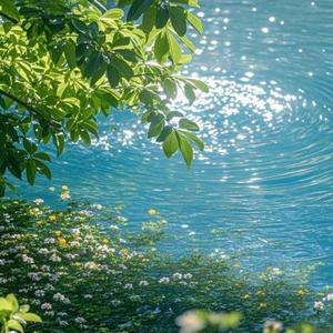 园林清晨安宁时光（宁静放松治愈）