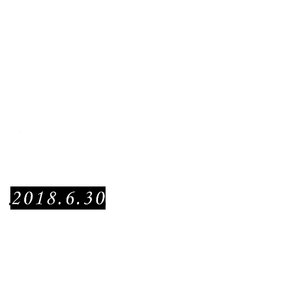 I.N.G(demo)