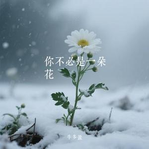 你不必是一朵花 (牛多盈 Remix)