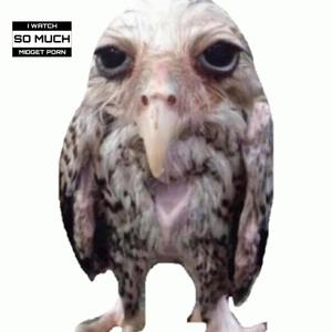 JELLO (feat. Lil joe biden)