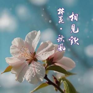 相见欢·林花·秋风