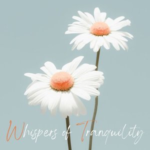 Whispers of Tranquility