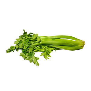 Сельдерей