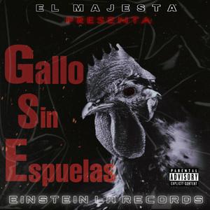Gallo Sin Espuelas