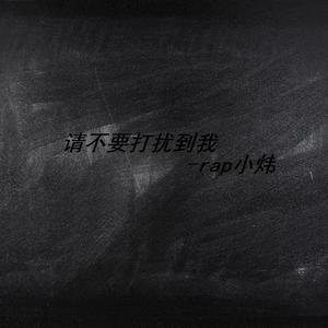 请不要打扰到我