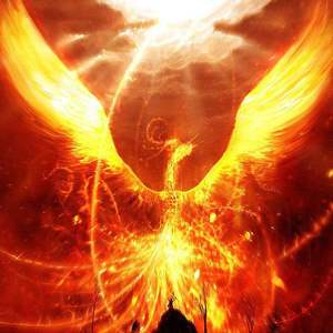 不死鸟——我是唱作人2（LIve）（翻自 霍尊）