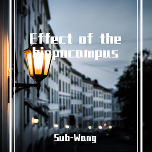 Effect of the hippocampus