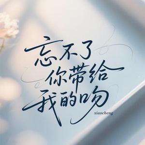 忘不了你带给我的吻