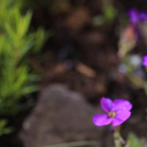 Lost Sky - Fearless Pt.II (slowed Reverb)