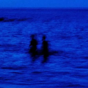 我的眼泪是你看不见的那片海