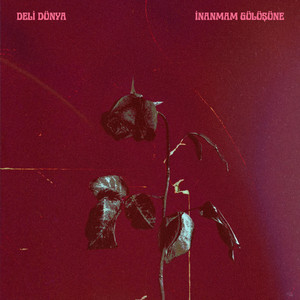 İnanmam Gülüşüne