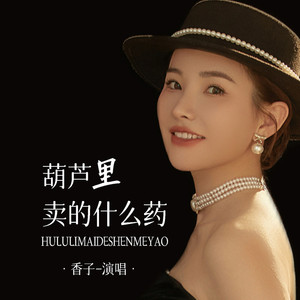 葫芦里卖的什么药 (DJ默涵版)