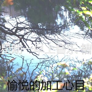 柔和的缓解压力时刻
