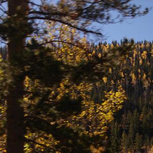 WORK IN THE MIDDLE OF NO WHERE