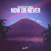 Aniela - Now or Never