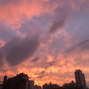 再也不会有人会比我更爱你