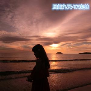 凤舞九天-金色年华（原版）（YX鬼魅 Remix）