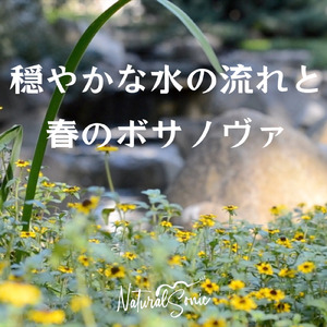 Clear Sky, Clear Stream