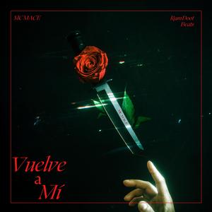 Vuelve a Mí (feat. Shashwad Babalgaon & Skand Babalagaon) (with Evan Verity)