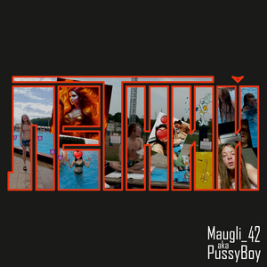 Это Пусибой киса