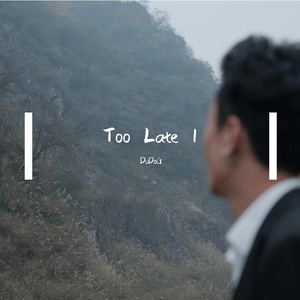 Too Late 1