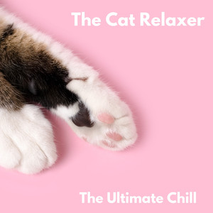 Ultimate Cat Relax