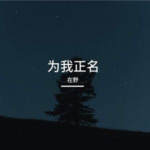 我如晚风过巷