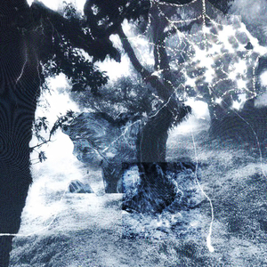 生长痛（prod.察觉）