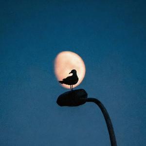 月牙湾R&B（男声）