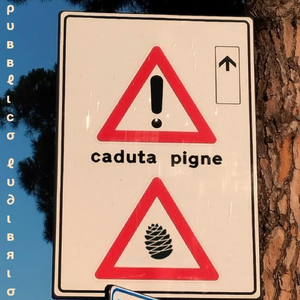 L'Aponia