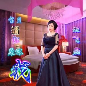 宝贝请你原谅我