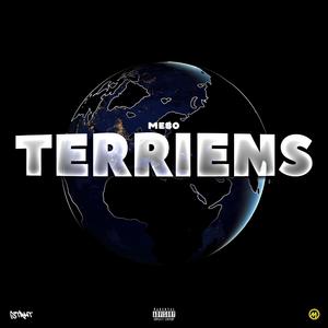 Terriens