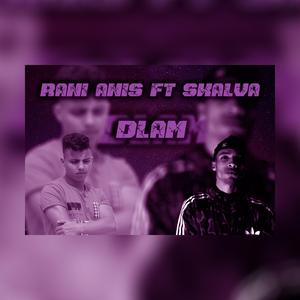 Dlam (feat. skalva)