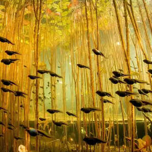 心灵蜕变的旅程