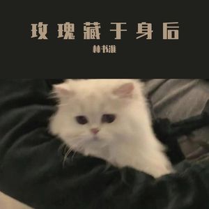 圈圈点点圈圈点点圈圈点点