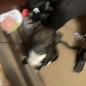 sippin purple like kevin (feat. uzirush)