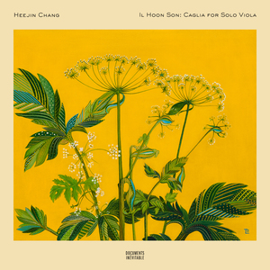 Caglia for Solo Viola (at A=415 Hz)