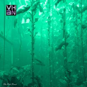 The Kelp Forest