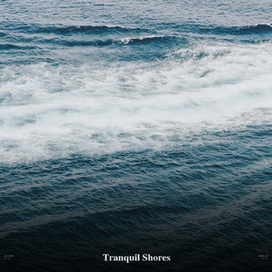 Solitude of the Seashore