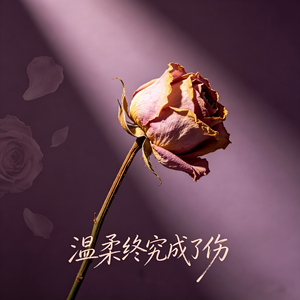 温柔终究成了伤