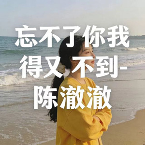 忘不了你我又得不到 (烟嗓版)