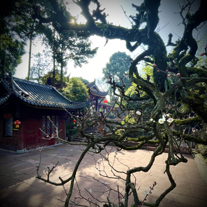 无边海