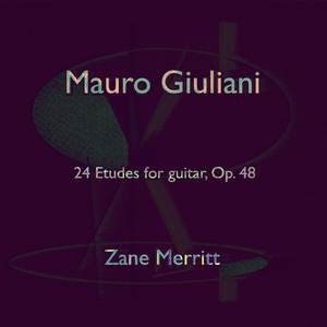 24 Etudes, Op. 48: 22. Allegro maestoso